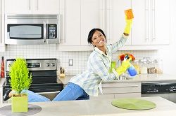 domestic clean service sw2