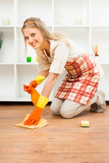 Important Tips for Carpet Cleaning